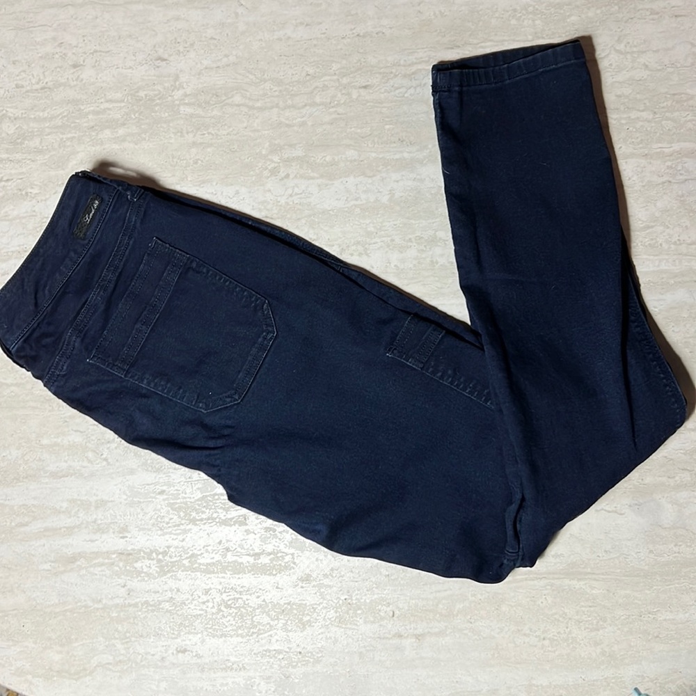 Level 99 Liza Skinny Pants in Indigo